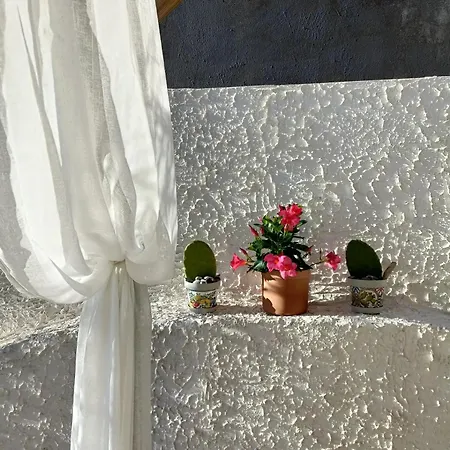 Rosa Di Mare, *